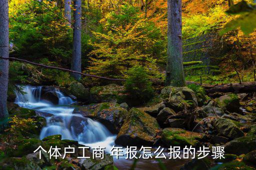 個(gè)體年報(bào)率簡(jiǎn)報(bào)怎么寫(xiě),商業(yè)年報(bào)和個(gè)體工商戶如何做年報(bào)