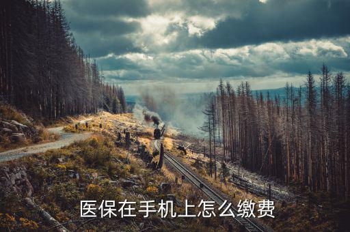 太倉(cāng)市醫(yī)保怎么交費(fèi),點(diǎn)擊醫(yī)保支付醫(yī)?？梢跃W(wǎng)上支付