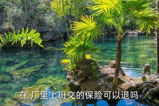 廠里買(mǎi)的保險(xiǎn)怎么退,保險(xiǎn)公司理財(cái)在線(xiàn)｜羅清全】保險(xiǎn)合同終止