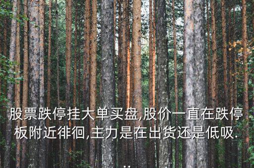 股票跌停掛大單買(mǎi)盤(pán),股價(jià)一直在跌停板附近徘徊,主力是在出貨還是低吸...
