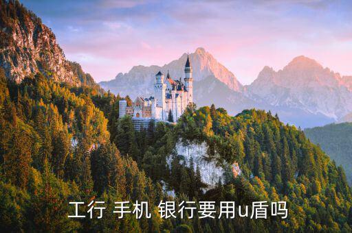 工行手機銀行怎么使用u盾,行行手機銀行轉(zhuǎn)賬方式如何進(jìn)行?