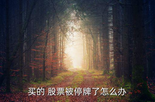 買(mǎi)的 股票被停牌了怎么辦