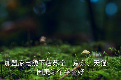 加盟家電線下店蘇寧、京東、天貓、 國(guó)美哪個(gè)平臺(tái)好