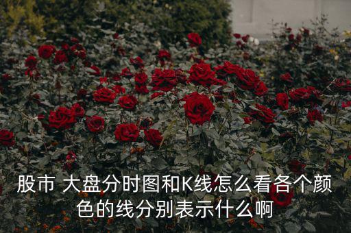 股市 大盤(pán)分時(shí)圖和K線怎么看各個(gè)顏色的線分別表示什么啊