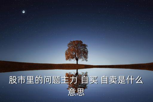 股市里的問(wèn)題主力 自買 自賣是什么意思