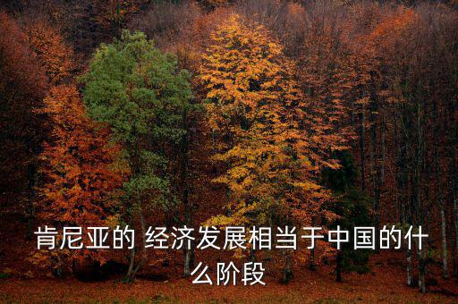  肯尼亞的 經濟發(fā)展相當于中國的什么階段