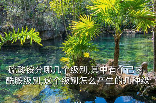 硫酸銨分哪幾個級別,其中有個己內 酰胺級別,這個級別怎么產生的幾種級...