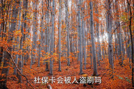 社?？ū槐I刷怎么辦,社保補(bǔ)卡服務(wù)丟了怎么辦