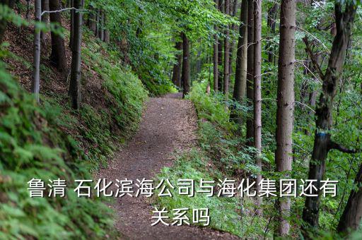 魯清 石化濱海公司與?；瘓F(tuán)還有關(guān)系嗎