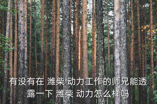 有沒(méi)有在 濰柴 動(dòng)力工作的師兄能透露一下 濰柴 動(dòng)力怎么樣嗎
