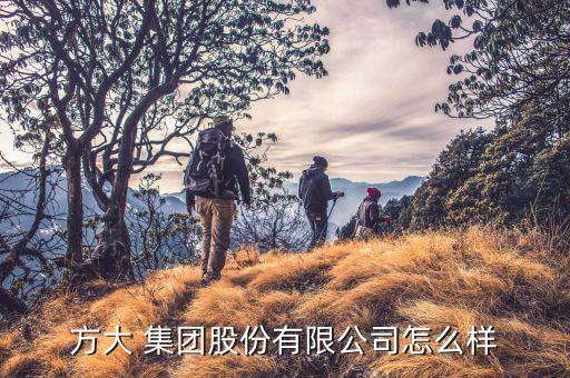 方大集團(tuán)怎么了,回顧（四）:選擇困難重重但有轉(zhuǎn)機!