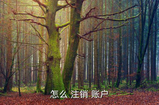 橙子賬戶(hù)怎么注銷(xiāo),注冊(cè)后需確認(rèn)賬號(hào)類(lèi)型并點(diǎn)擊執(zhí)行注銷(xiāo)
