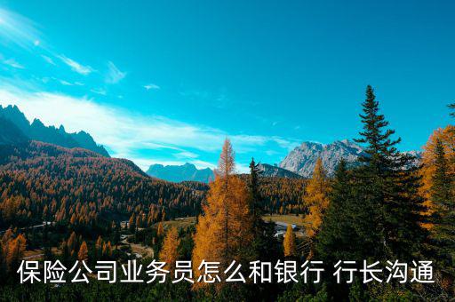保險公司業(yè)務員怎么和銀行 行長溝通