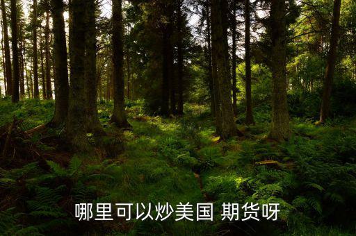 怎么炒美國(guó)期貨,期貨交易特點(diǎn):交易費(fèi)用由期貨公司提供；