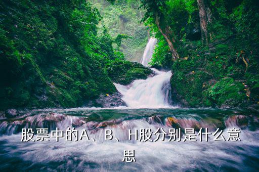  股票中的A、B、H股分別是什么意思