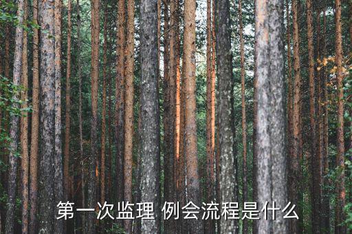 第一次例會(huì)怎么開(kāi),如何召開(kāi)工作會(huì)議?會(huì)議內(nèi)容有哪些?