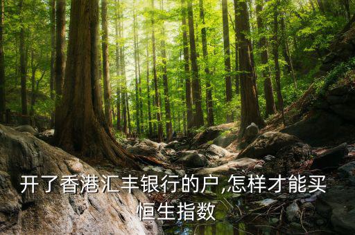 開(kāi)了香港匯豐銀行的戶,怎樣才能買(mǎi) 恒生指數(shù)