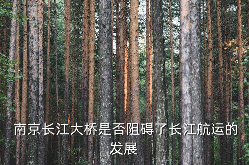 萬噸輪怎么過南京,南京長(zhǎng)江大橋凈空太低影響航運(yùn)發(fā)展