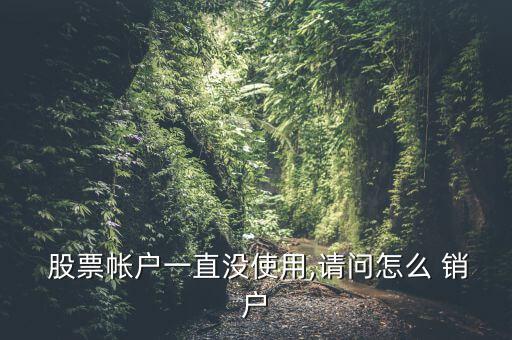  股票帳戶(hù)一直沒(méi)使用,請(qǐng)問(wèn)怎么 銷(xiāo)戶(hù)