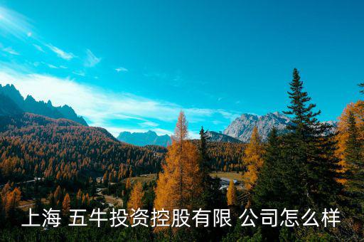 五?；鸸驹趺礃?上海五牛投資控股有限公司處于開業(yè)狀態(tài)