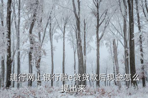  建行網上銀行融e貸貸款后現金怎么提出來