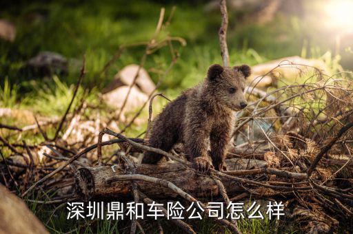 深圳鼎和車(chē)險(xiǎn)公司怎么樣