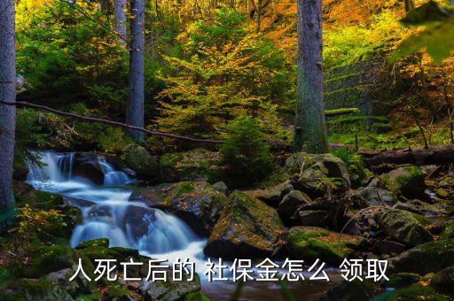 人死后社保怎么領(lǐng)取,如何使用社?？?!