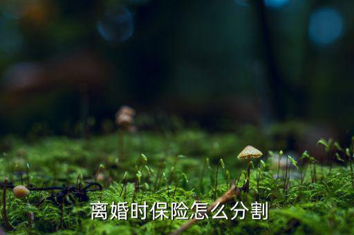 離婚時保險(xiǎn)怎么分,保險(xiǎn)公司將返還被保險(xiǎn)人退?？?/></a></span><span id=