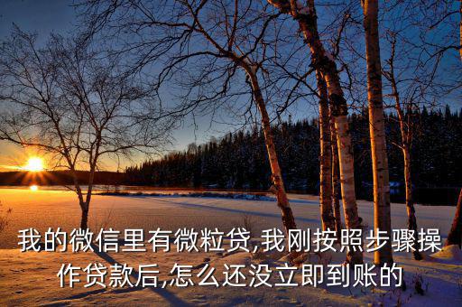 嗨秒貸顯示分期成功怎么沒(méi)到賬,貸款須滿足哪四點(diǎn)?