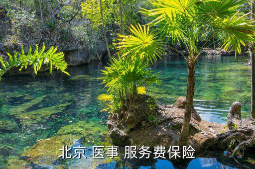 北京 醫(yī)事 服務(wù)費(fèi)保險