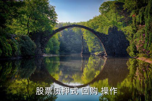  股票質押式 回購 操作