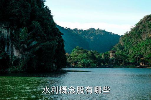 安徽水利股票怎么樣,水利股份、證券股龍頭股名單出爐