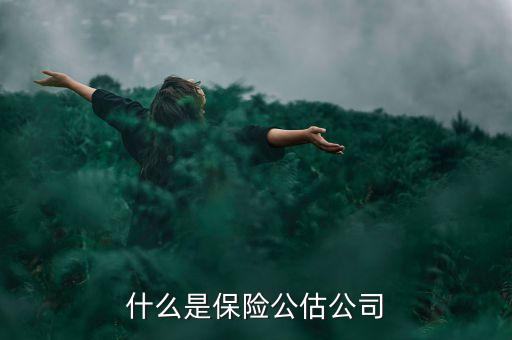 什么是承保公估，保險(xiǎn)中的公估是什么概念