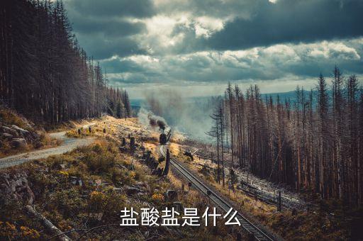 暗保是什么，鹽酸鹽是什么