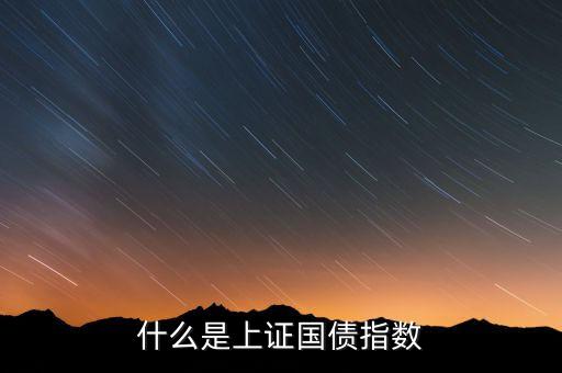 什么是上證國債指數