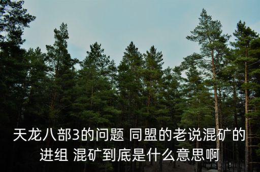 天龍八部3的問(wèn)題 同盟的老說(shuō)混礦的進(jìn)組 混礦到底是什么意思啊
