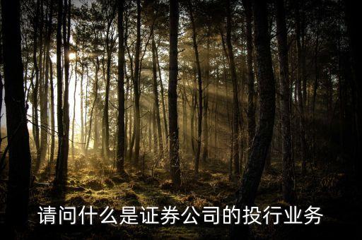 什么是類投行業(yè)務(wù)，請問什么是證券公司的投行業(yè)務(wù)
