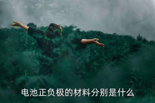 電池負極是什么材料，作干電池負極的材料是
