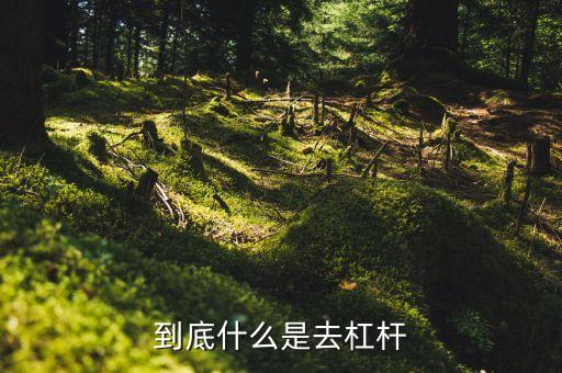什么是去杠桿去產(chǎn)能，到底什么是去杠桿