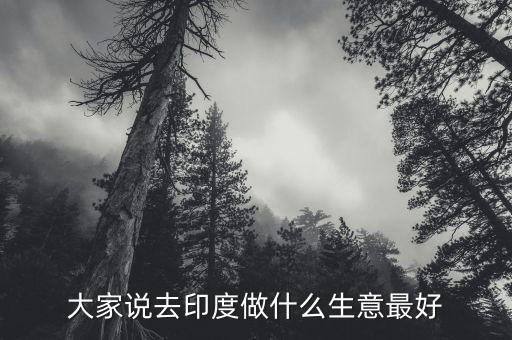 去印度做什么生意好，印度外貿(mào)做什么產(chǎn)品好