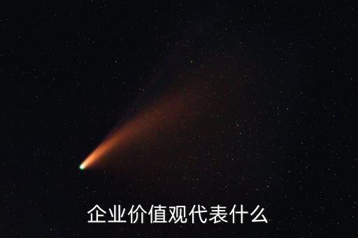 什么是公司觀，公司宗旨公司目標公司管理觀公司人才觀這些一堆統(tǒng)一稱為