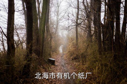 北海林漿紙什么時(shí)候投產(chǎn)，斯道拉恩索林漿紙廠什么時(shí)候開始投產(chǎn)