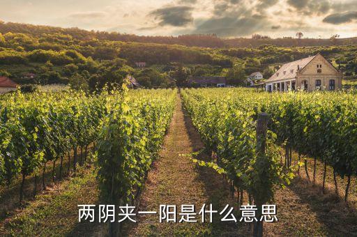股票兩陰一陽又兩陰什么走勢，股市技術(shù)圖形兩陰一陽又兩陰后市怎樣