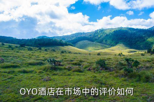為什么從驢媽媽離職，驢媽媽旅游網(wǎng)怎么樣工資待遇