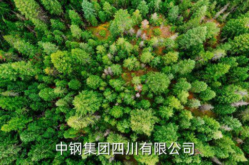 中鋼什么級別，中尉是什么等級