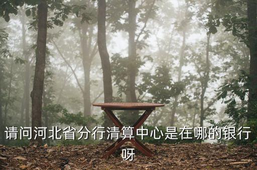 河北省分行清算中心是什么，請(qǐng)問(wèn)河北省分行清算中心是在哪的銀行呀