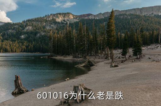 利達(dá)光電為什么一直跌，002009 怎么老跌呀