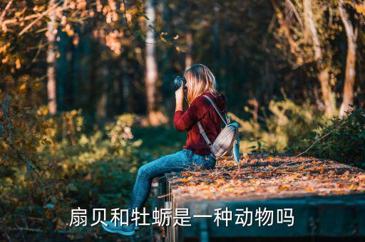 扇貝又叫什么，扇貝和牡蠣是一種動(dòng)物嗎