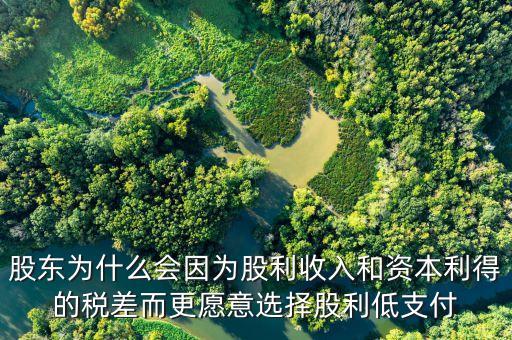 為什么發(fā)放股票股利會(huì)資本利得稅，股東為什么會(huì)因?yàn)楣衫杖牒唾Y本利得的稅差而更愿意選擇股利低支付