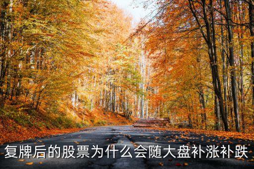 股票復(fù)牌為什么會補(bǔ)跌，復(fù)牌后的股票為什么會隨大盤補(bǔ)漲補(bǔ)跌